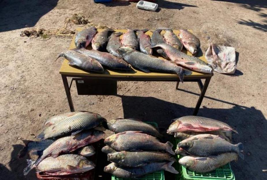 La Policía Rural secuestró trasmallos de pesca ilegales