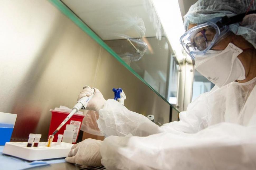 Cient ficos Argentinos Realizaron Nuevos Hallazgos En Los Genomas 