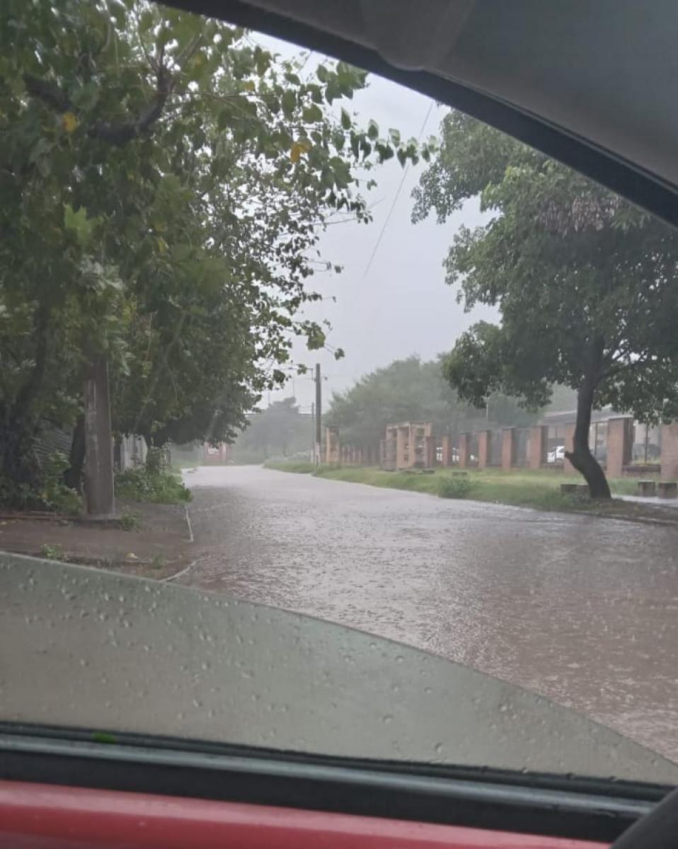 Barrio El Salvador , zona del Mercofrut  