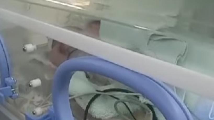 Captura de video: Aires de Tucumán Multimedios Los Ralos Noticias de la Actualidad) 